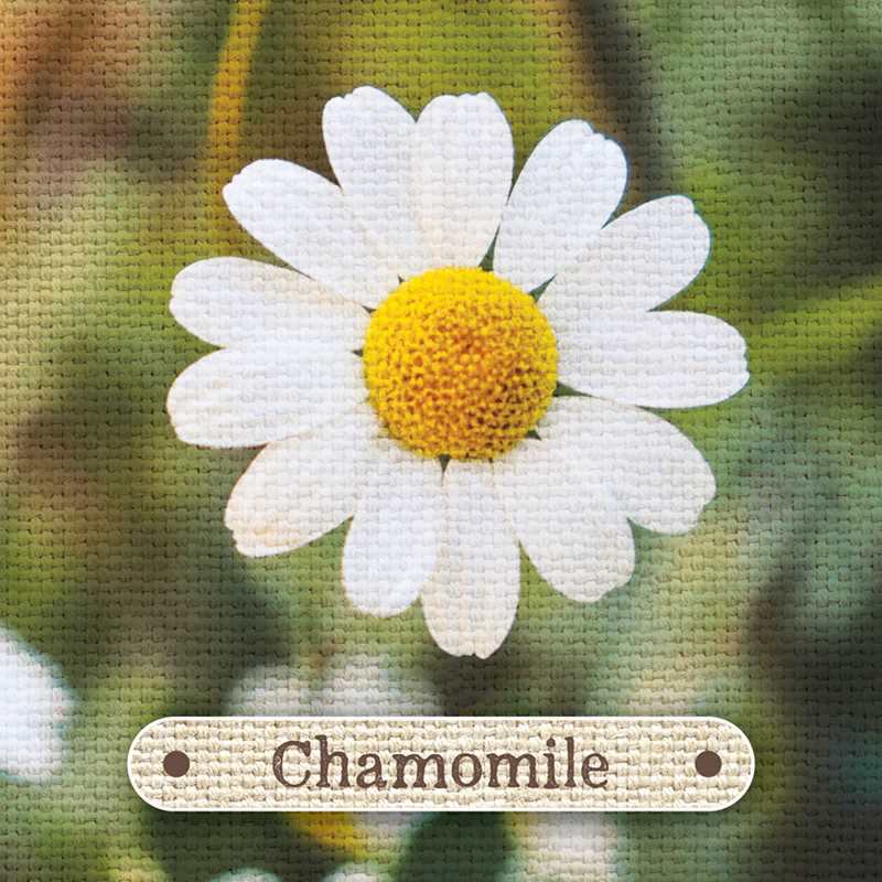 Apothecary Flashcards by Nicola McIntosh: Flashcards; 46 pages / English