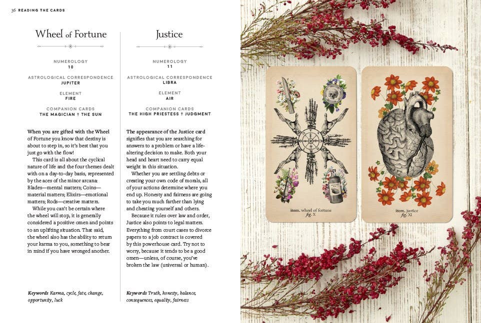 Abrams - Antique Anatomy Tarot Kit