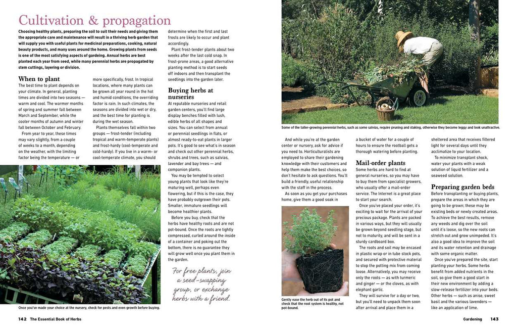 Reader's Digest The Essential Book of Herbs by: Paperback; 224 pages / English