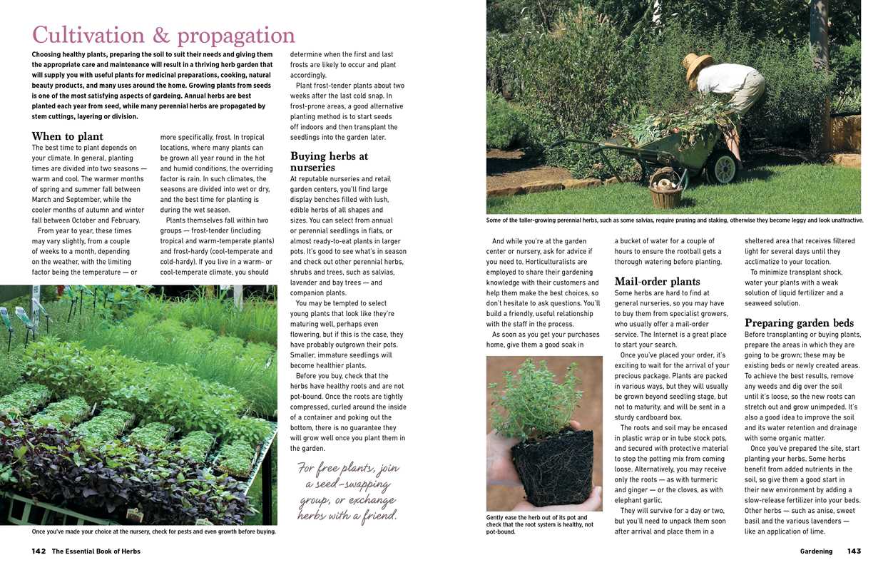 Reader's Digest The Essential Book of Herbs by: Paperback; 224 pages / English