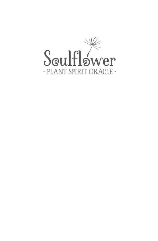 Soulflower Plant Spirit Oracle by Lisa Estabrook: Flashcards; 176 pages / English