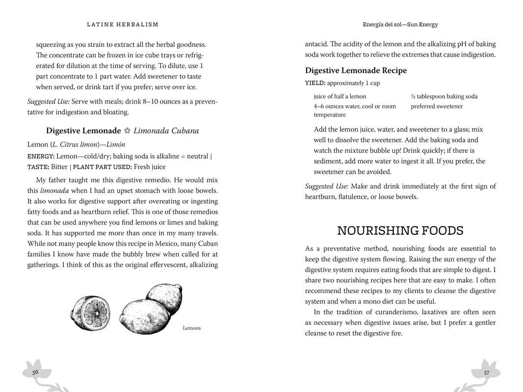 Latine Herbalism by Iosellev Castañeda: Paperback; 192 pages / English