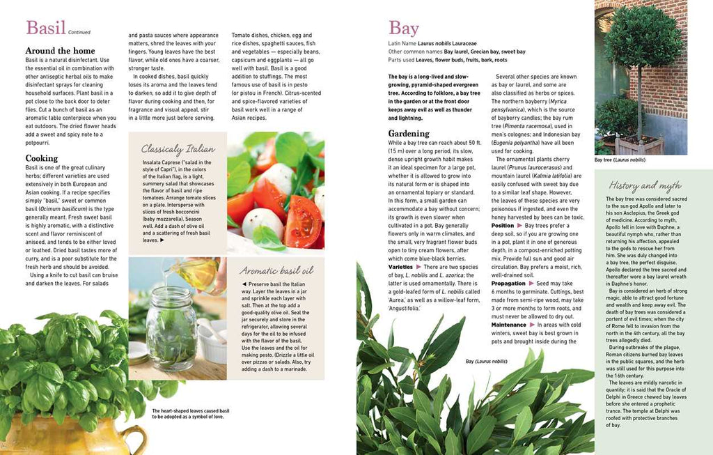 Reader's Digest The Essential Book of Herbs by: Paperback; 224 pages / English