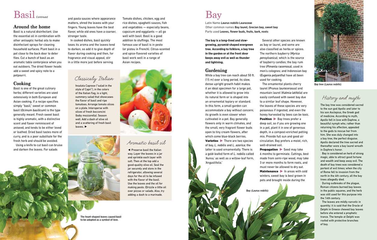 Reader's Digest The Essential Book of Herbs by: Paperback; 224 pages / English