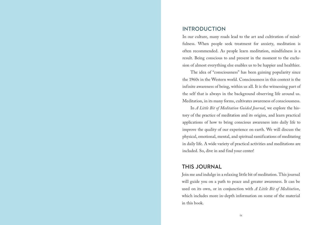 Little Bit of Meditation Guided Journal