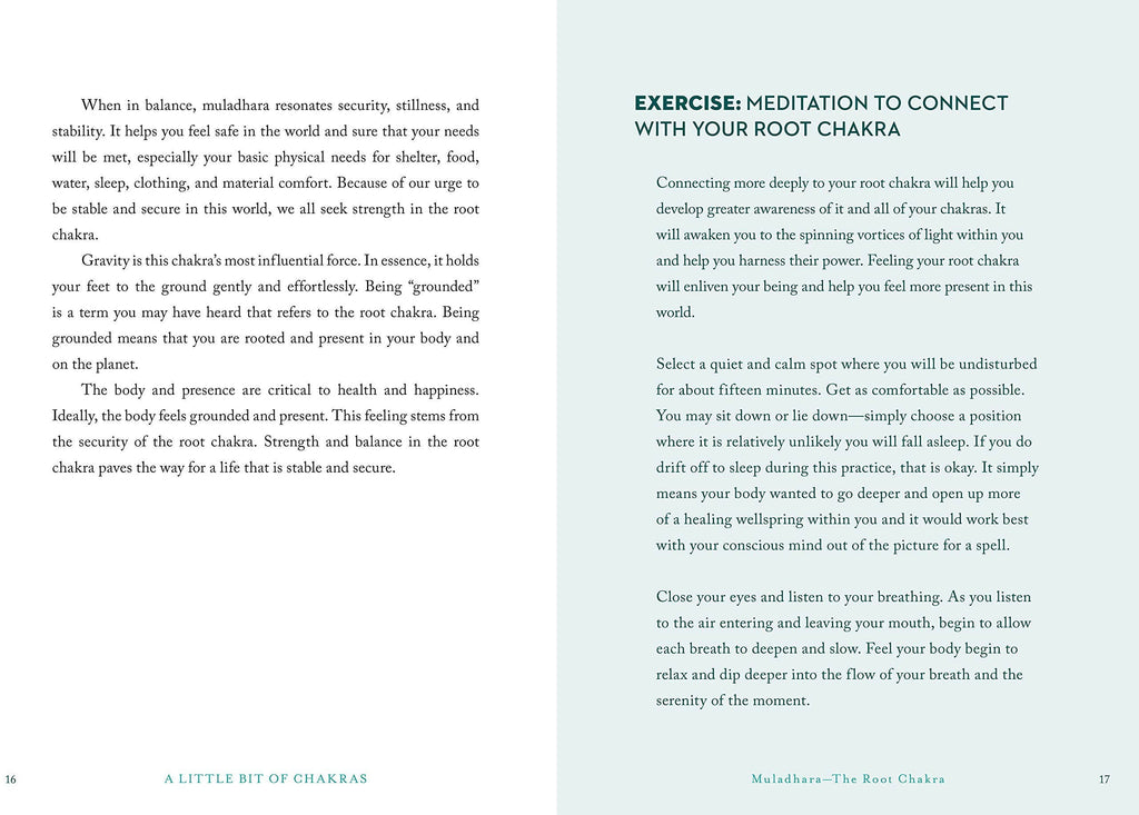 Hachette Book Group - A Little Bit of Chakras by Chad Mercree