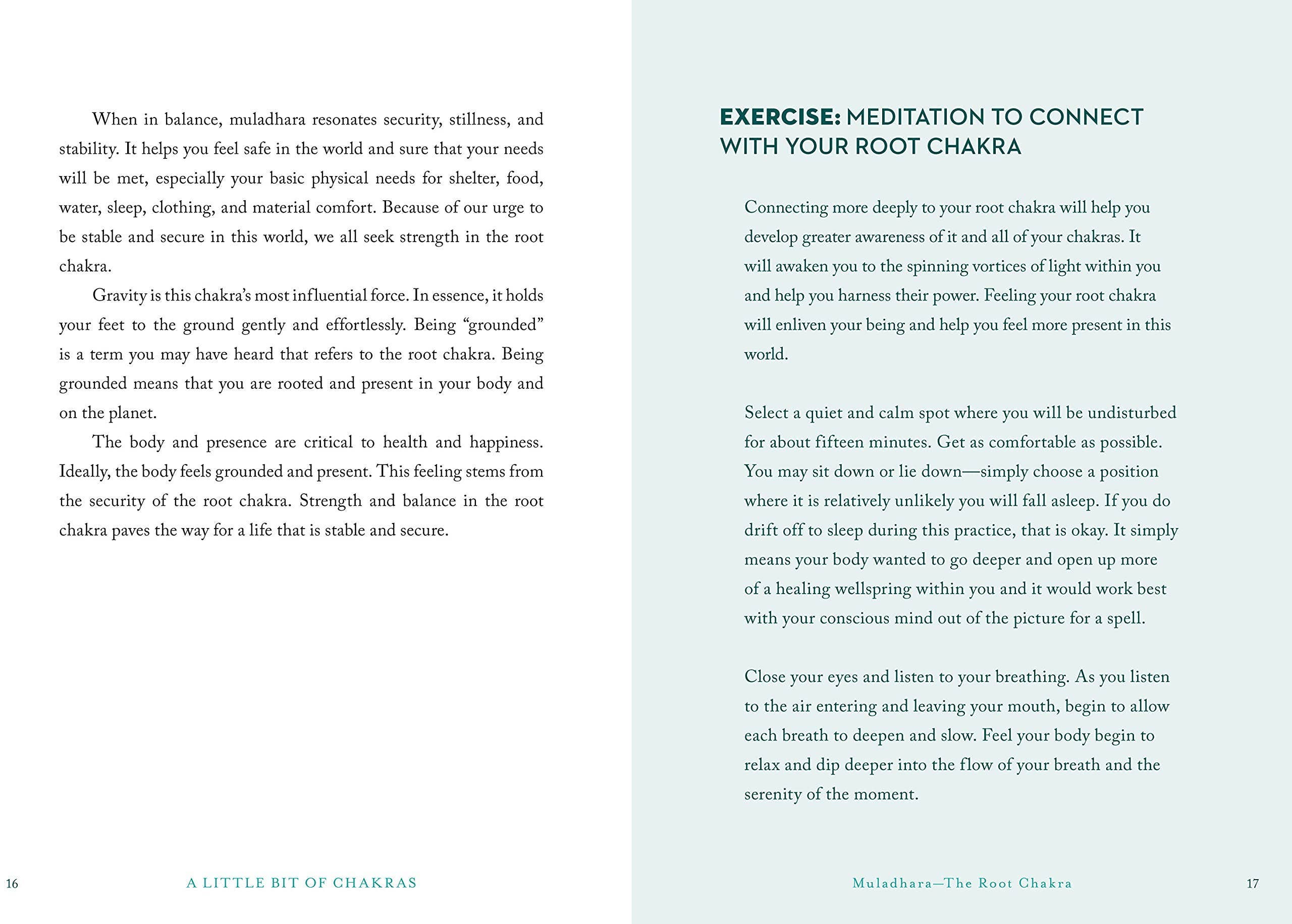 Hachette Book Group - A Little Bit of Chakras by Chad Mercree