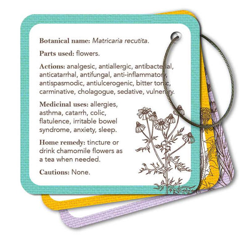 Apothecary Flashcards by Nicola McIntosh: Flashcards; 46 pages / English