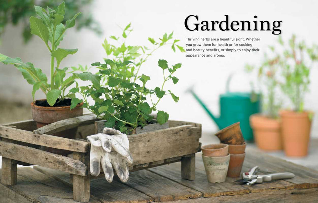 Reader's Digest The Essential Book of Herbs by: Paperback; 224 pages / English