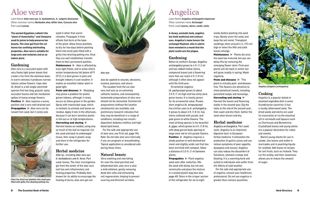 Reader's Digest The Essential Book of Herbs by: Paperback; 224 pages / English