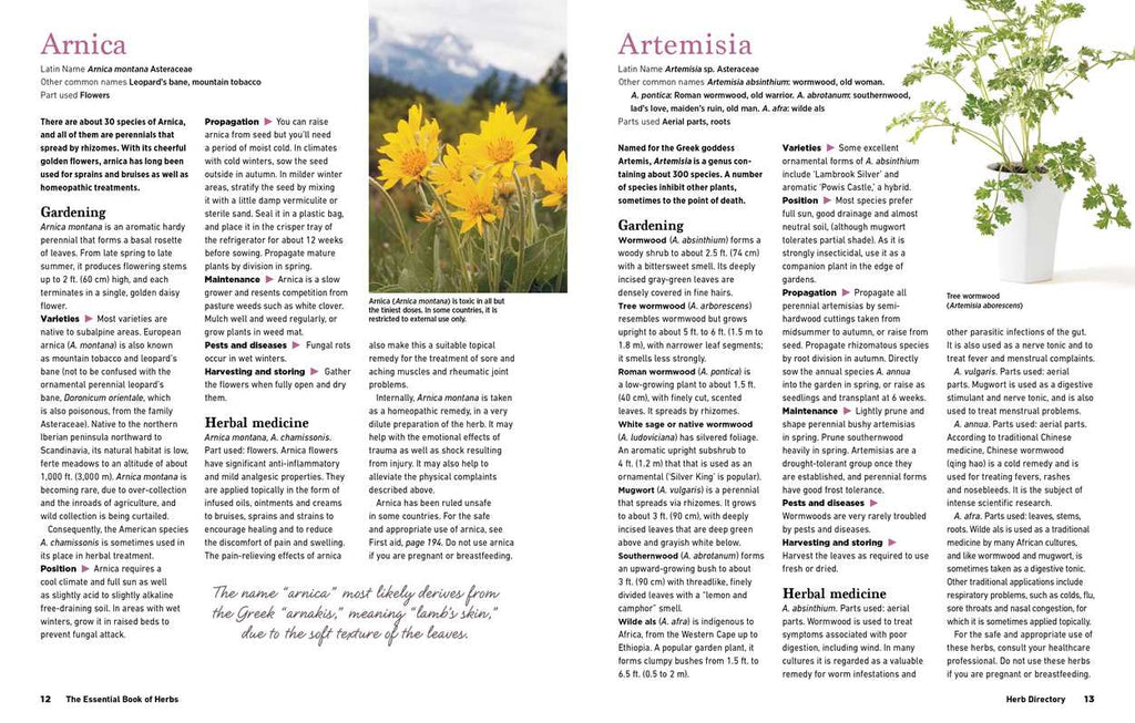 Reader's Digest The Essential Book of Herbs by: Paperback; 224 pages / English