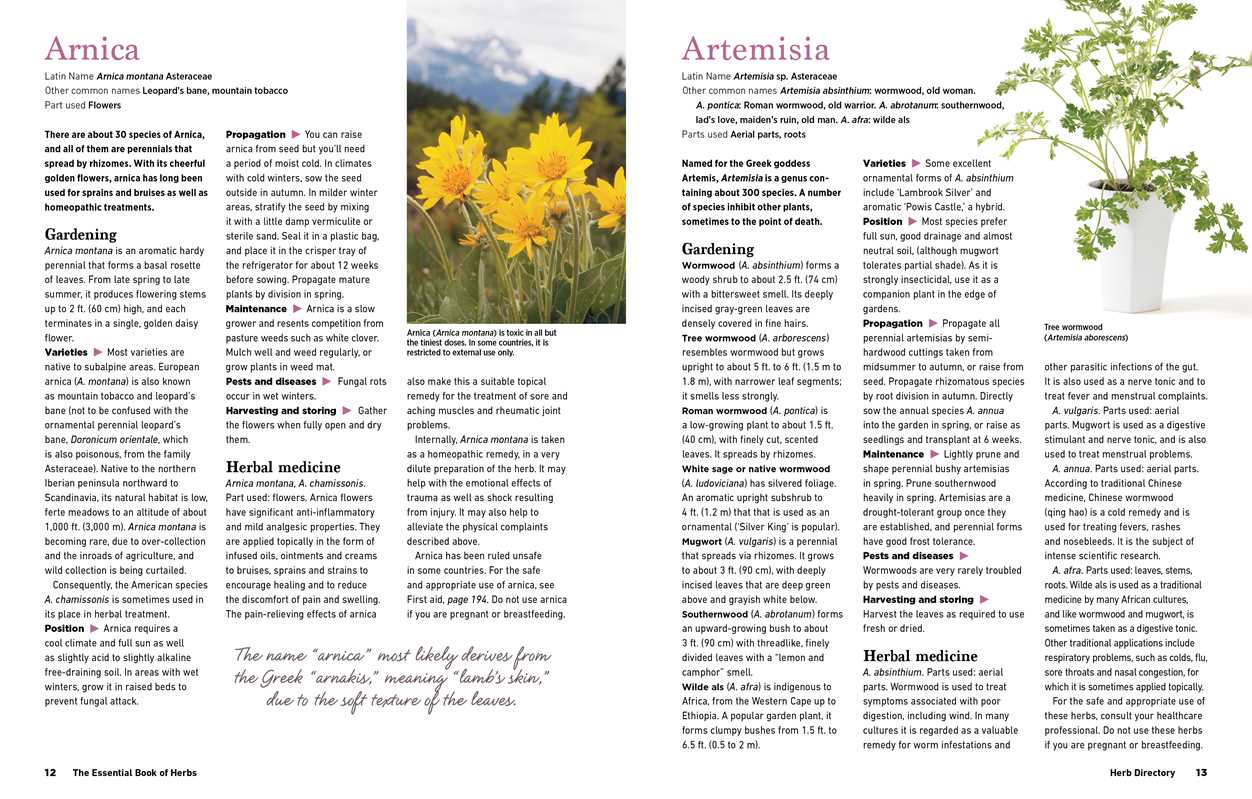 Reader's Digest The Essential Book of Herbs by: Paperback; 224 pages / English