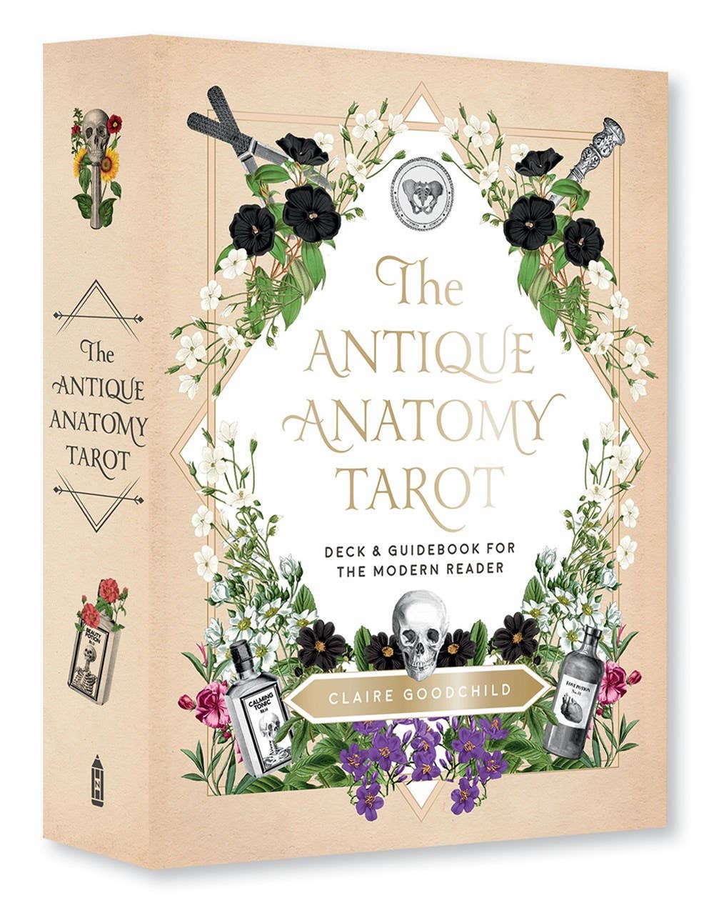 Abrams - Antique Anatomy Tarot Kit