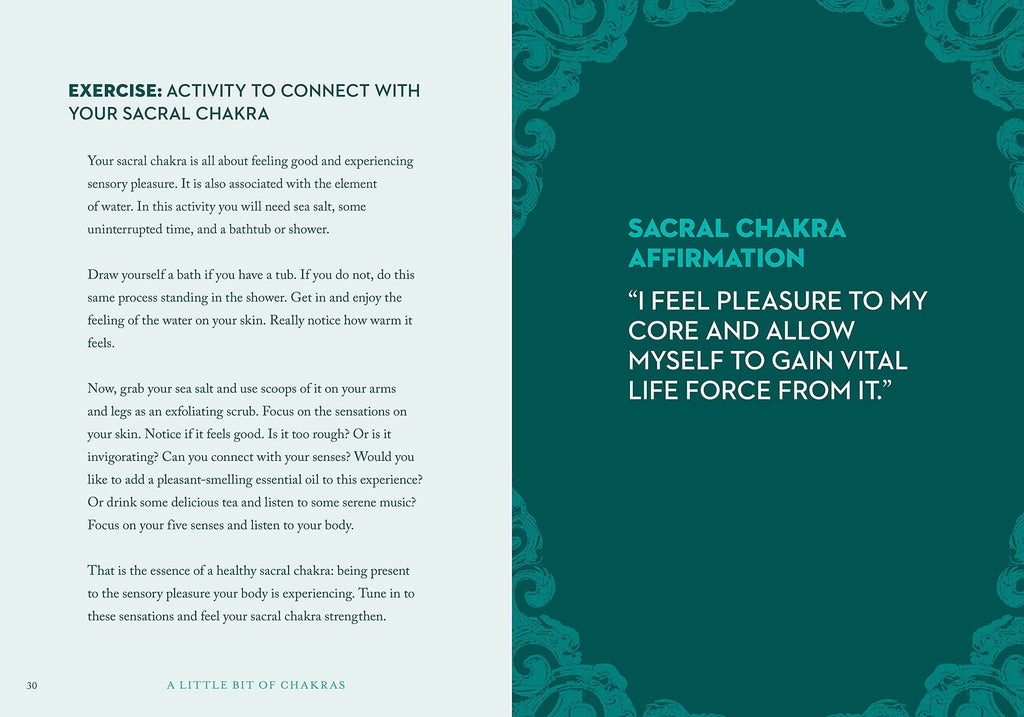 Hachette Book Group - A Little Bit of Chakras by Chad Mercree