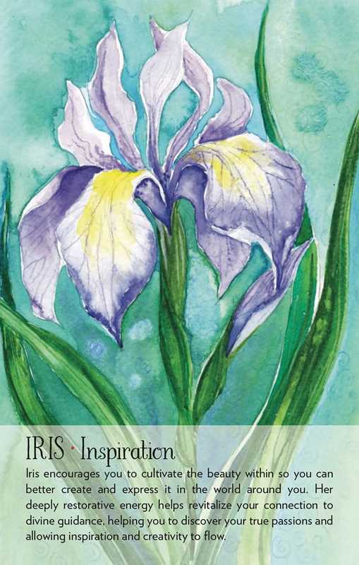 Soulflower Plant Spirit Oracle by Lisa Estabrook: Flashcards; 176 pages / English