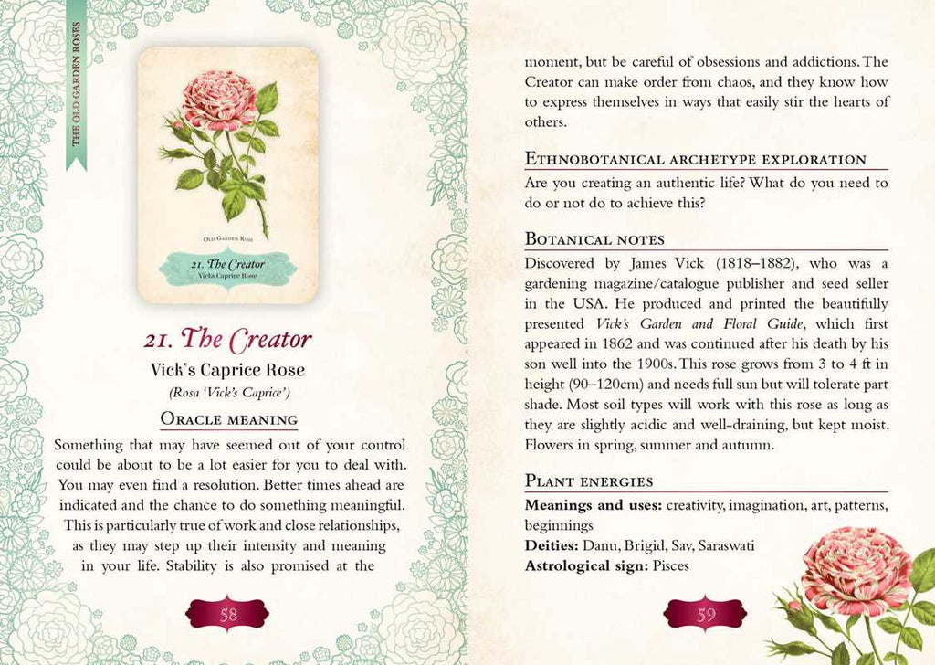 Oracle of The Roses by Cheralyn Darcey: Flashcards; 128 pages / English