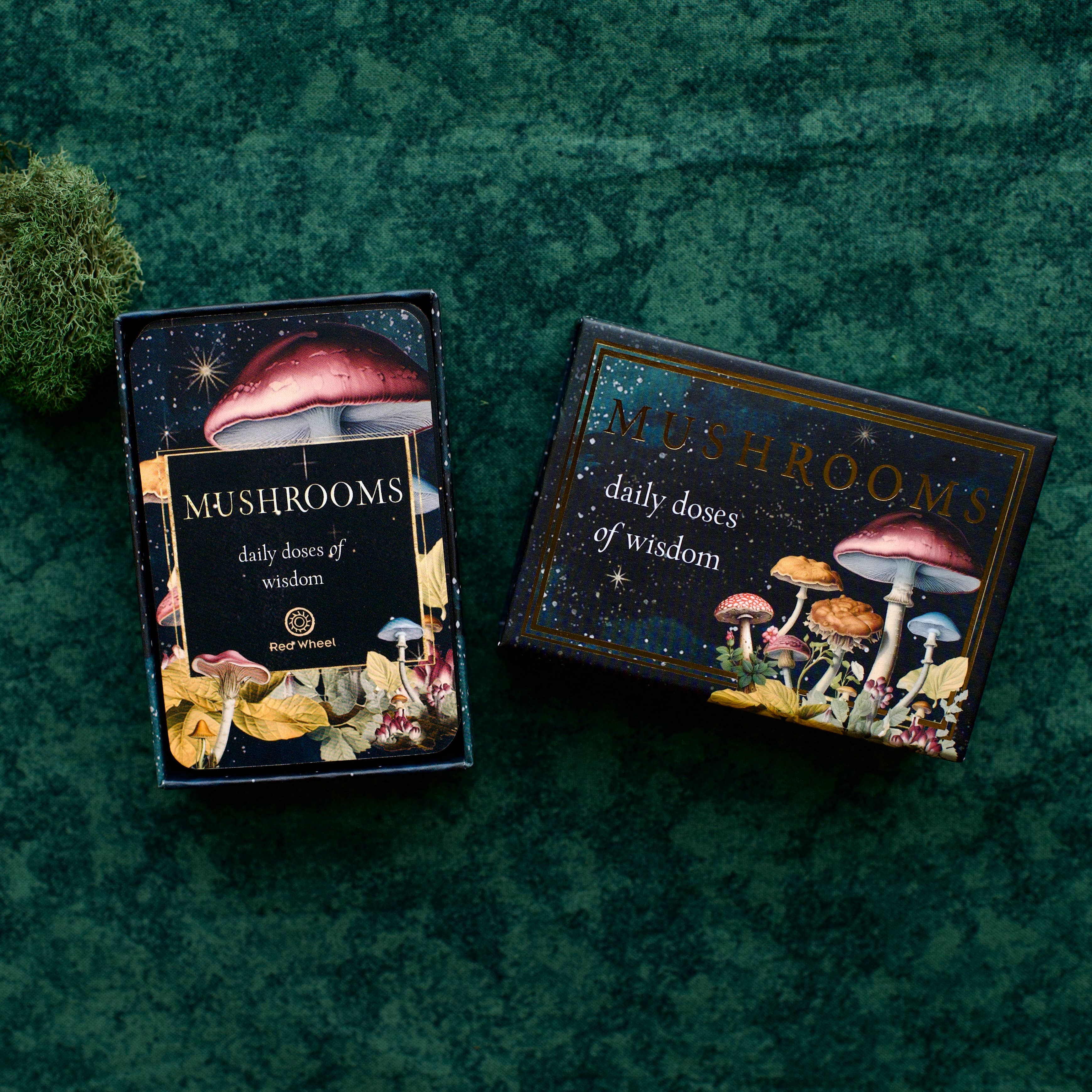 Mushrooms: Daily Doses of Wisdom (36 Gilt-Edged Mini Cards)