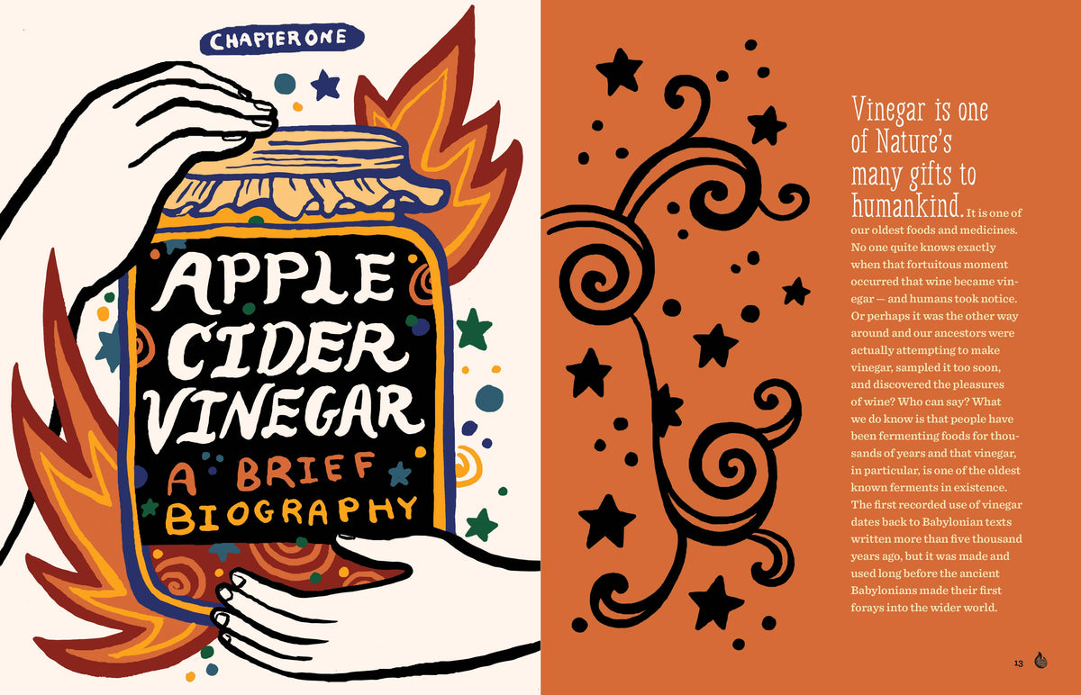 Hachette Book Group - Fire Cider! - Trade Paperback