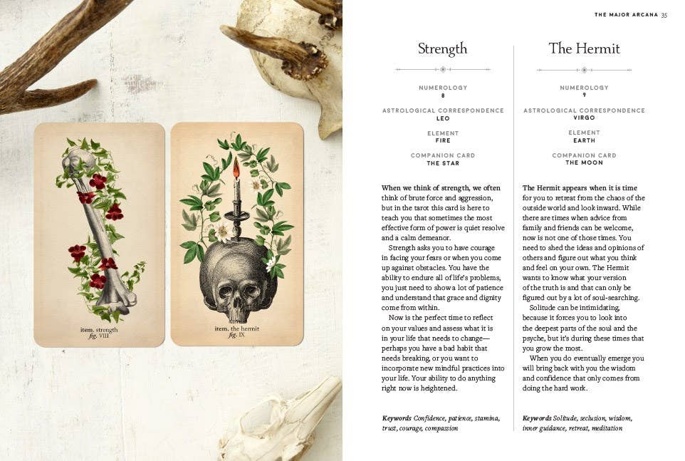 Abrams - Antique Anatomy Tarot Kit