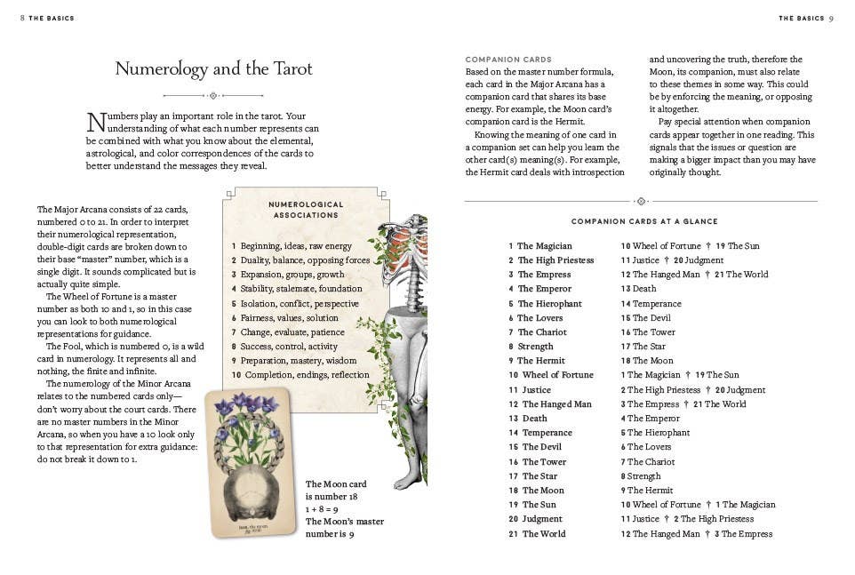 Abrams - Antique Anatomy Tarot Kit