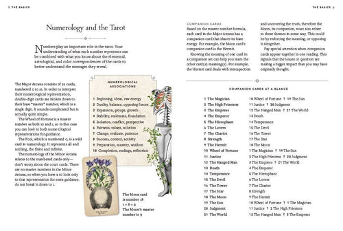 Abrams - Antique Anatomy Tarot Kit