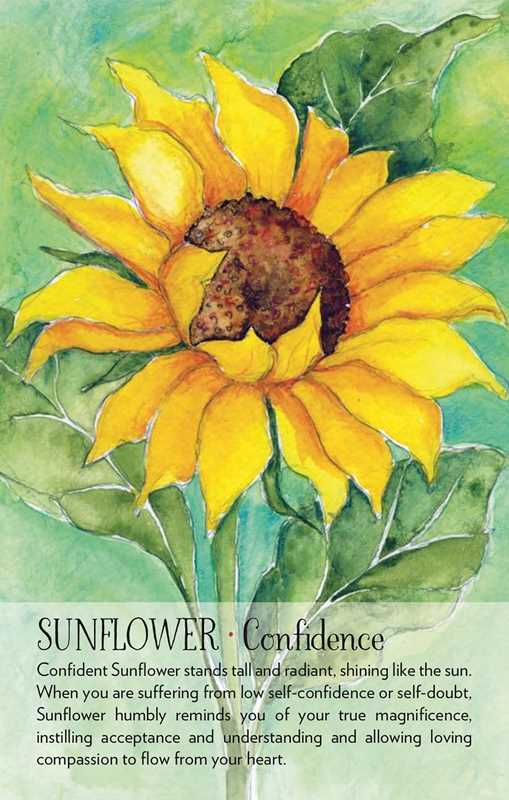 Soulflower Plant Spirit Oracle by Lisa Estabrook: Flashcards; 176 pages / English