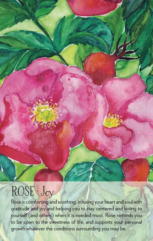Soulflower Plant Spirit Oracle by Lisa Estabrook: Flashcards; 176 pages / English